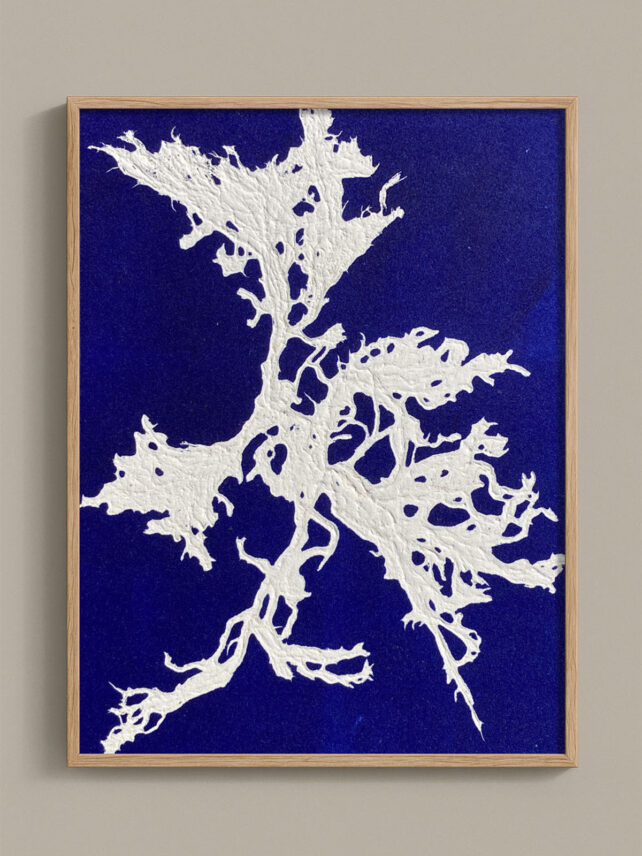 Monotype, empreinte d'une algue, pièce unique