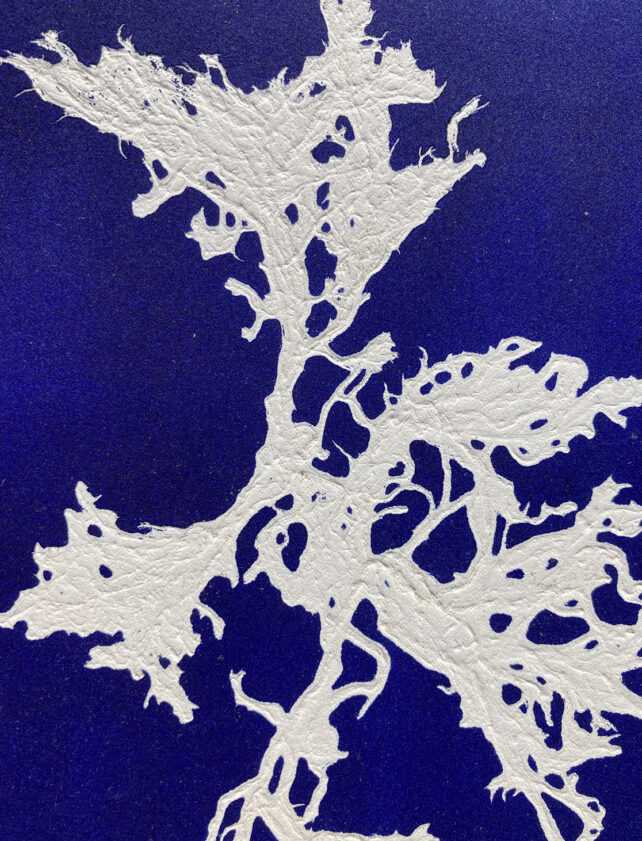 Monotype, empreinte d'une algue, pièce unique