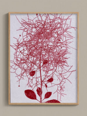 Monotype, empreinte réalisée à partir d'une vraie plante, pièce unique