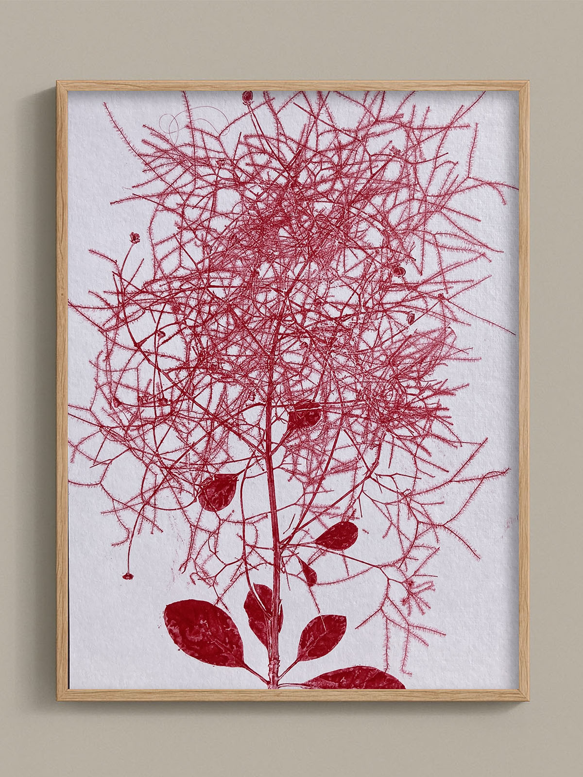 Monotype, empreinte réalisée à partir d'une vraie plante, pièce unique