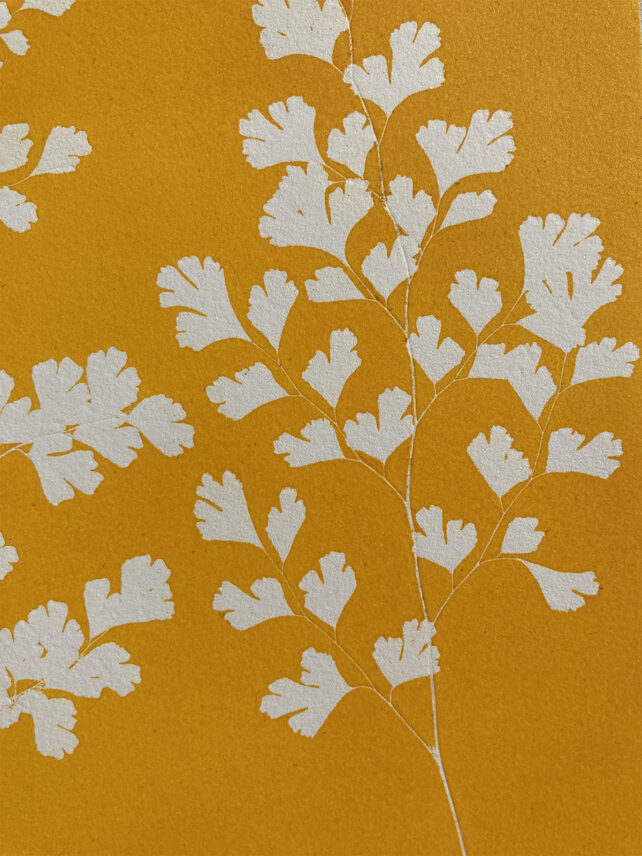 Monotype, empreinte réalisée à partir d'une vraie plante, pièce unique