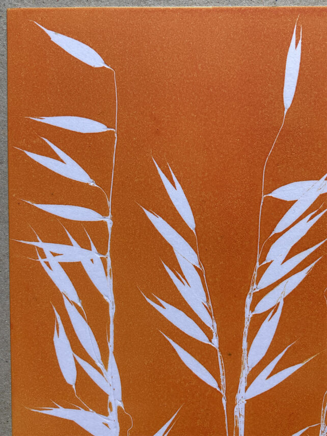 Monotype, empreinte réalisée à partir d'une vraie plante, pièce unique