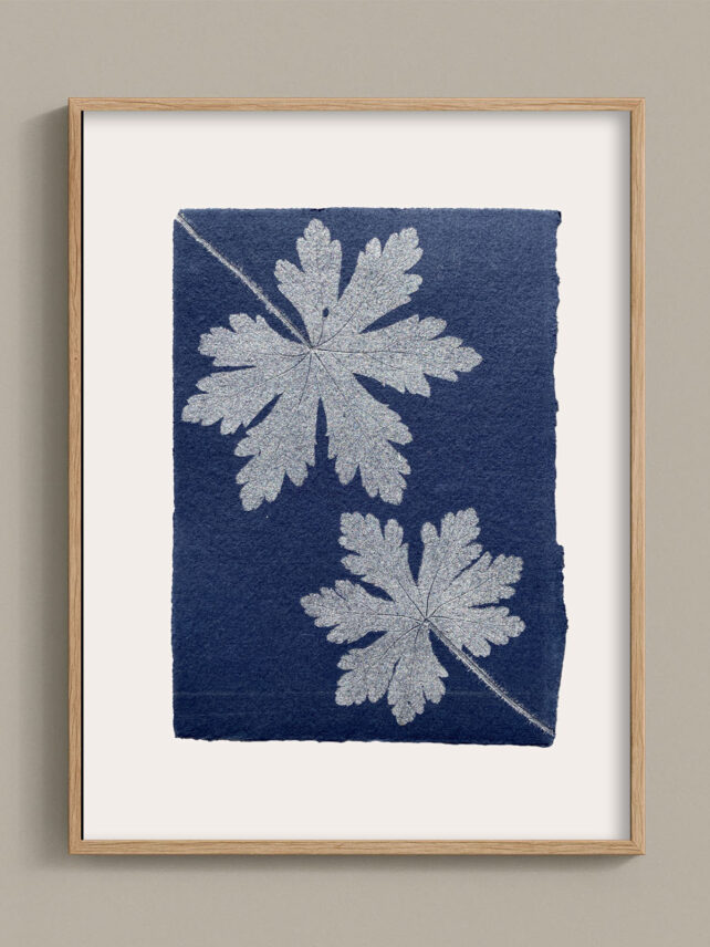 Monotype, empreinte réalisée à partir d'une vraie plante, pièce unique