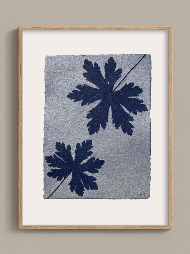 Monotype, empreinte réalisée à partir d'une vraie plante, pièce unique