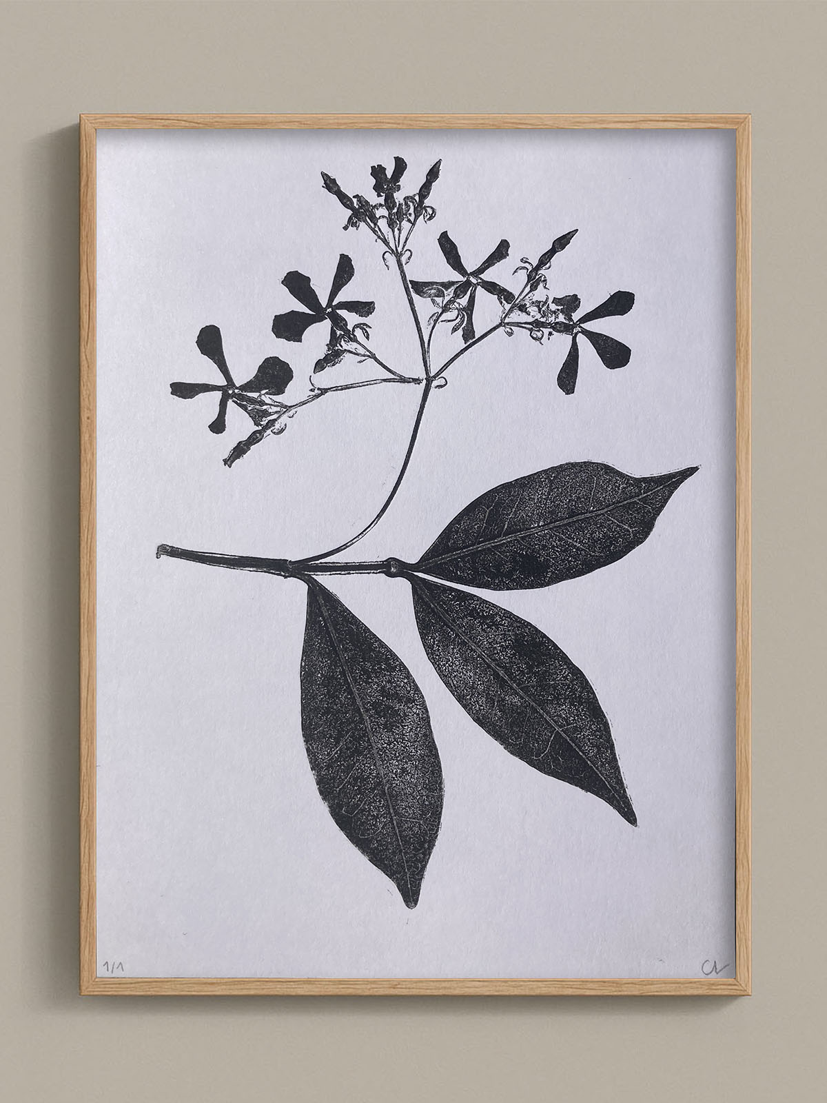 Monotype, empreinte réalisée à partir d'une vraie plante, pièce unique