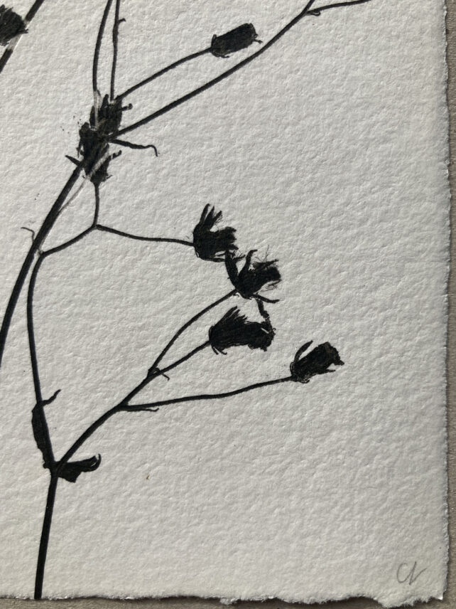 Monotype, empreinte réalisée à partir d'une vraie plante, pièce unique