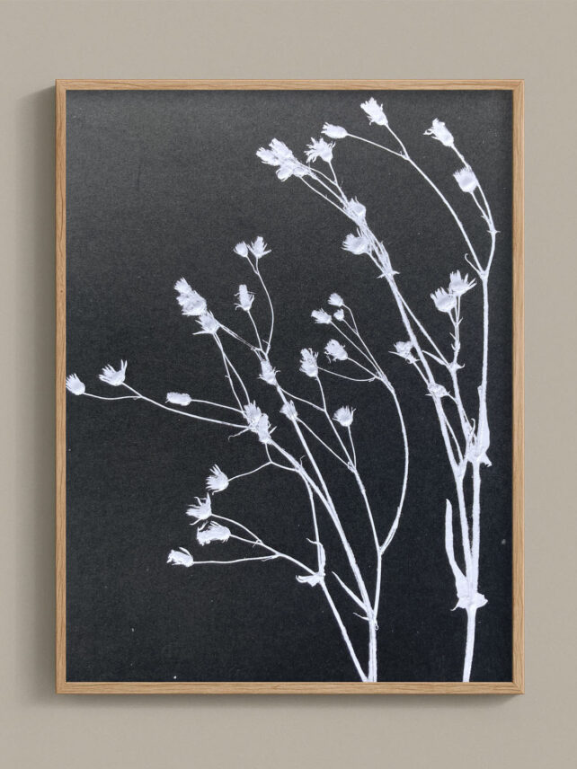Monotype, empreinte réalisée à partir d'une vraie plante, pièce unique