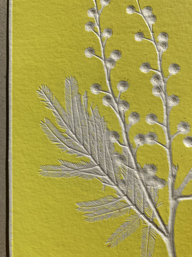 Monotype, empreinte réalisée à partir d'une vraie plante, pièce unique