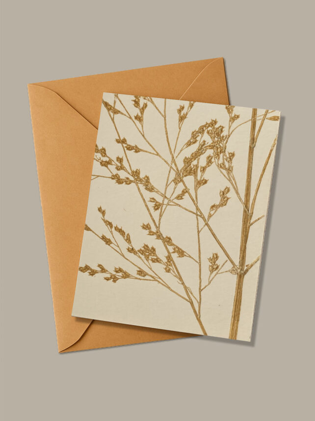 Monotype, empreinte réalisée à partir d'une vraie plante.