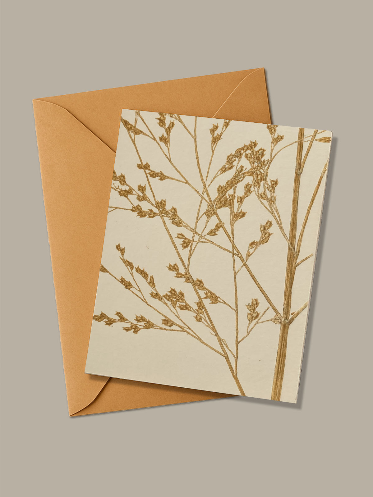 Monotype, empreinte réalisée à partir d'une vraie plante.