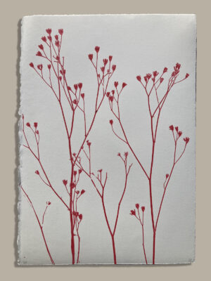 Monotype, empreinte réalisée à partir d'une vraie plante, pièce unique