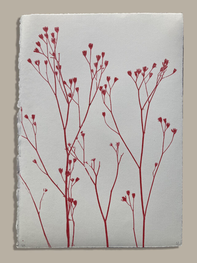 Monotype, empreinte réalisée à partir d'une vraie plante, pièce unique