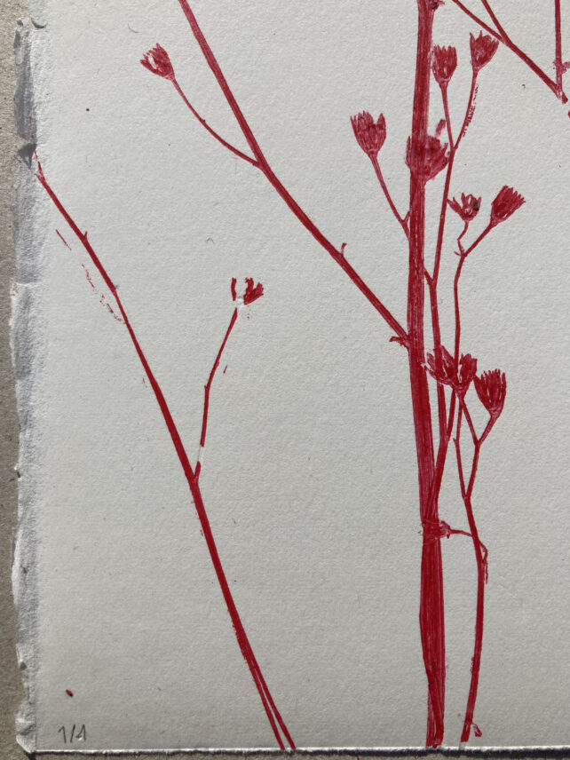 Monotype, empreinte réalisée à partir d'une vraie plante, pièce unique