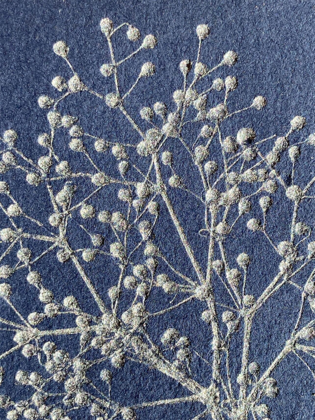 Monotype, empreinte réalisée à partir d'une vraie plante, pièce unique