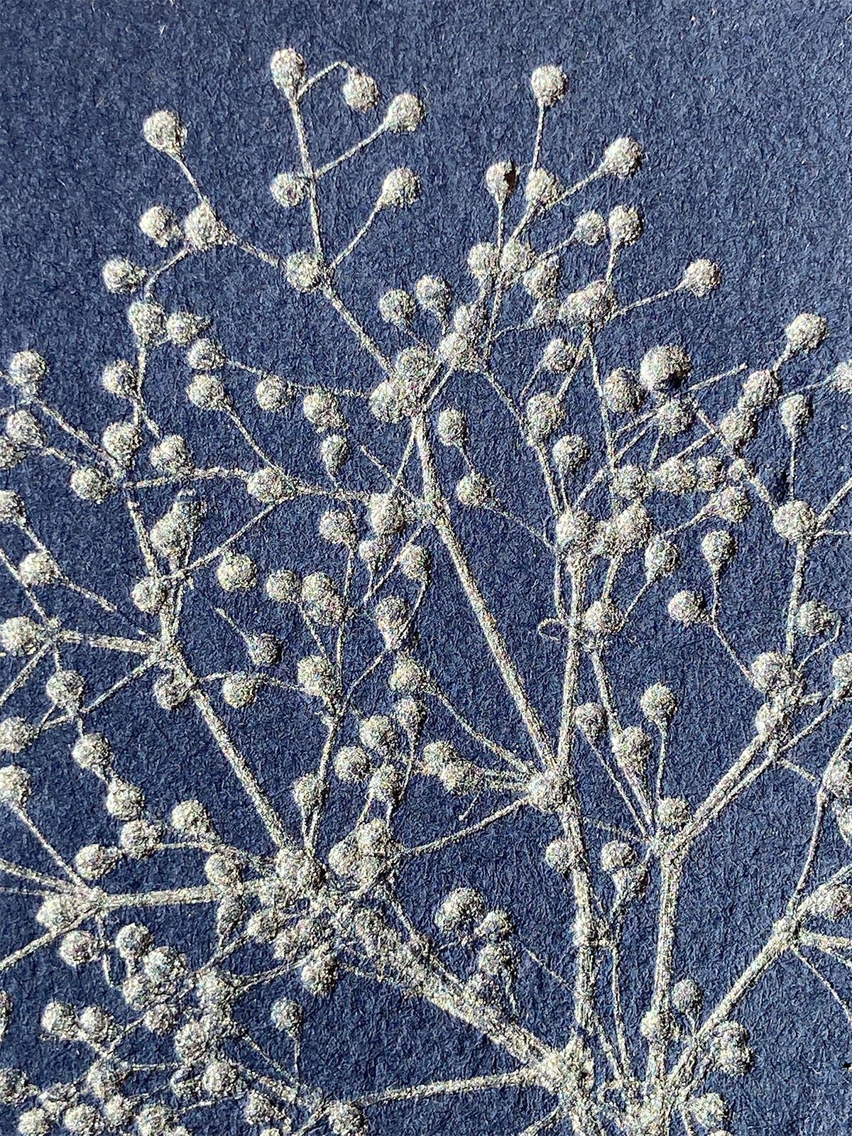 Monotype, empreinte réalisée à partir d'une vraie plante, pièce unique