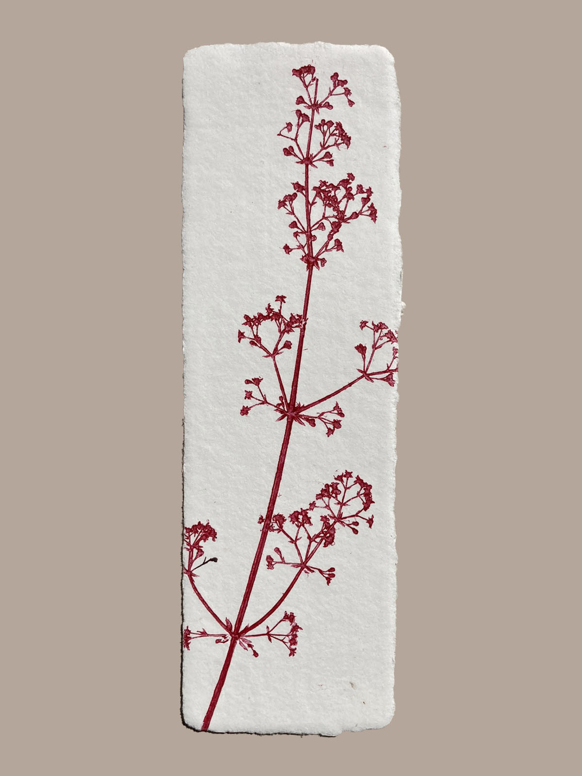 Marque-page artisanal en papier fait main avec empreinte végétale naturelle
