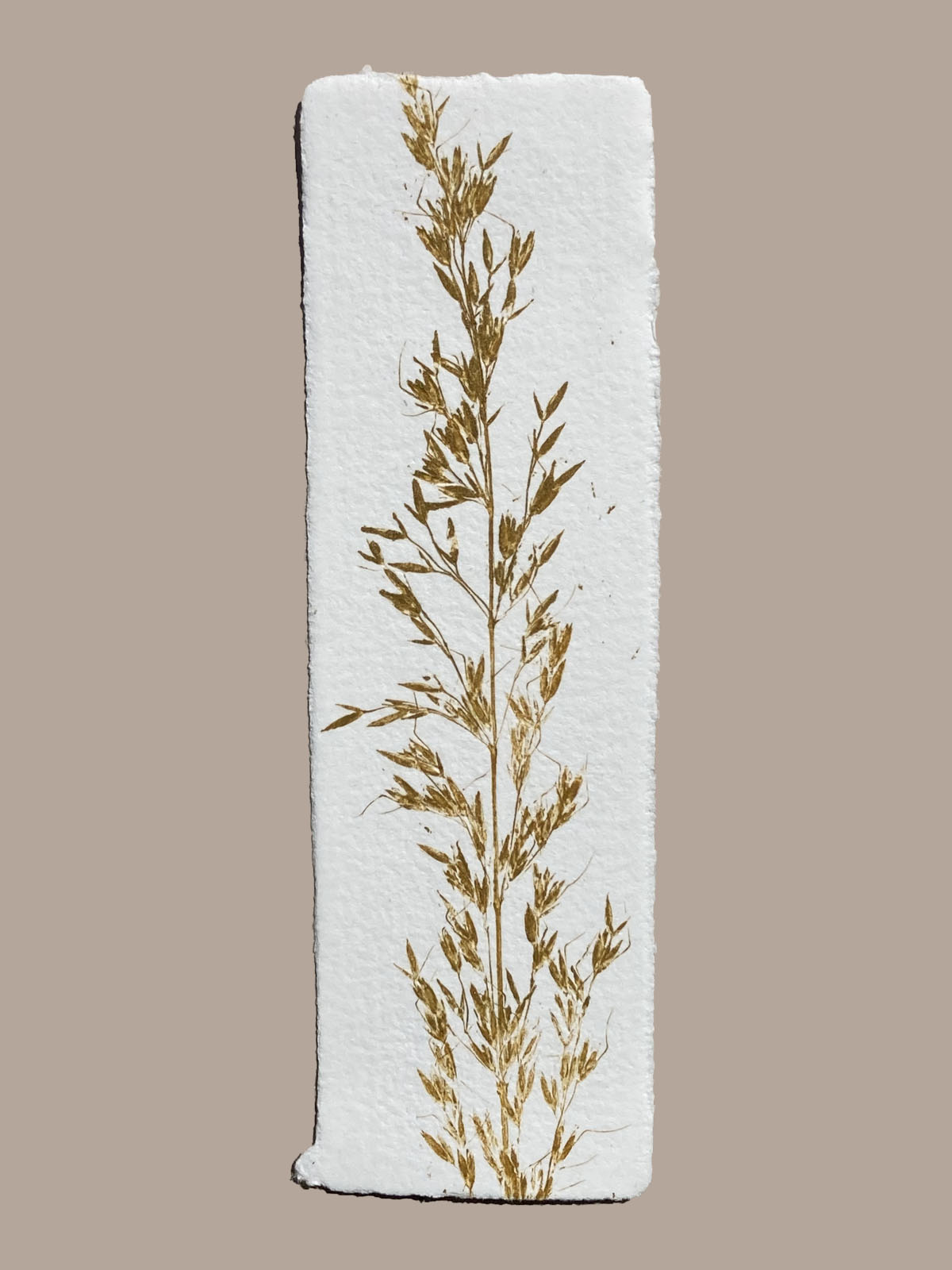 Marque-page artisanal en papier fait main avec empreinte végétale naturelle