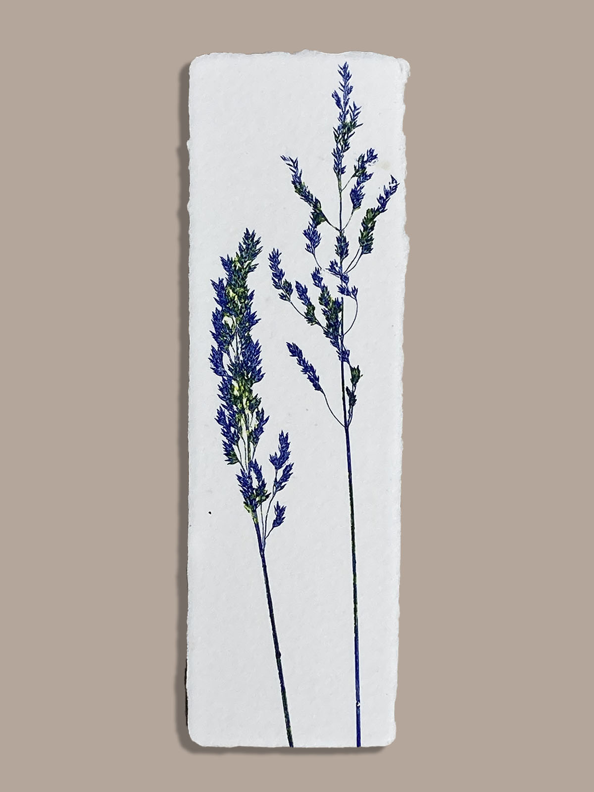 Marque-page artisanal en papier fait main avec empreinte végétale naturelle
