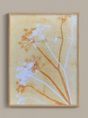Monotype, empreinte réalisée à partir d'une vraie plante, pièce unique