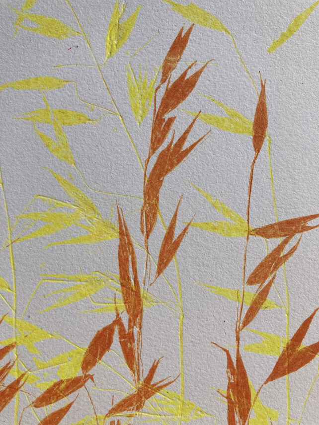 Monotype, empreinte réalisée à partir d'une vraie plante, pièce unique