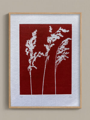 Monotype, empreinte réalisée à partir d'une vraie plante, pièce unique
