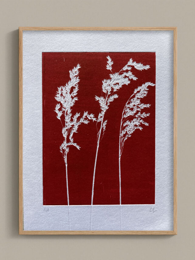 Monotype, empreinte réalisée à partir d'une vraie plante, pièce unique