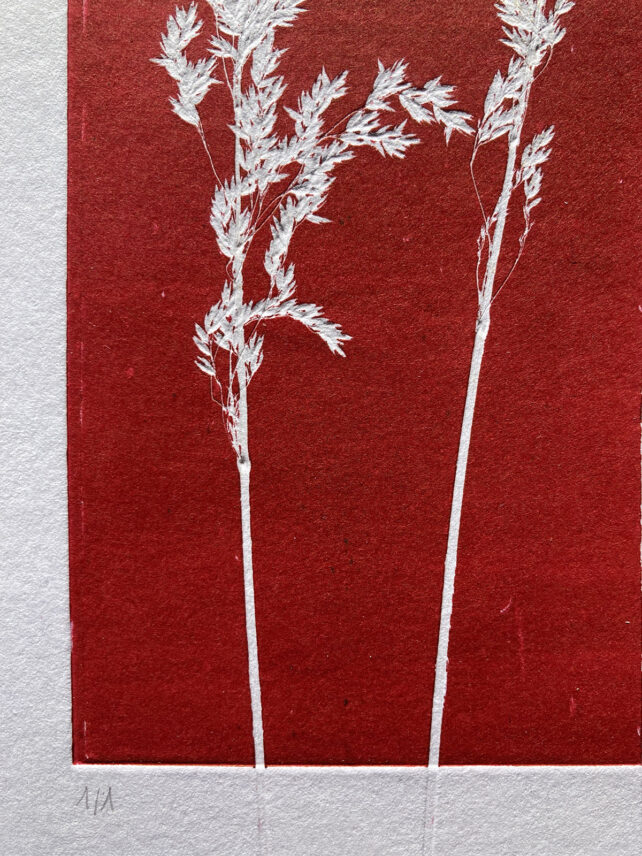 Monotype, empreinte réalisée à partir d'une vraie plante, pièce unique