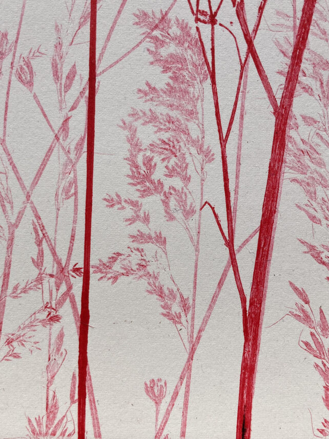 Monotype, empreinte réalisée à partir d'une vraie plante, pièce unique