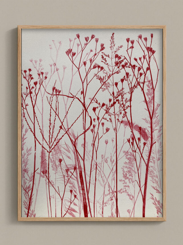 Monotype, empreinte réalisée à partir d'une vraie plante, pièce unique