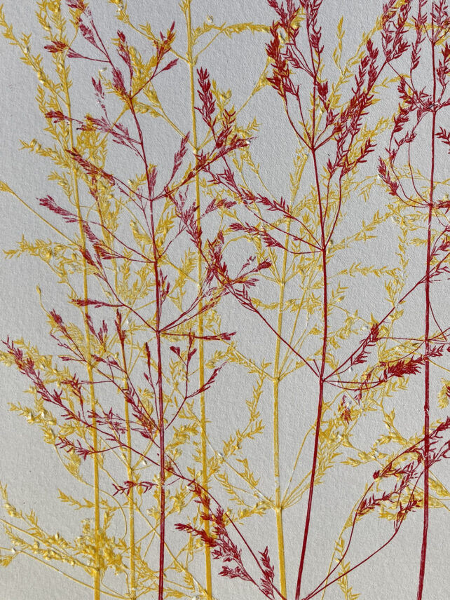 Monotype, empreinte réalisée à partir d'une vraie plante, pièce unique