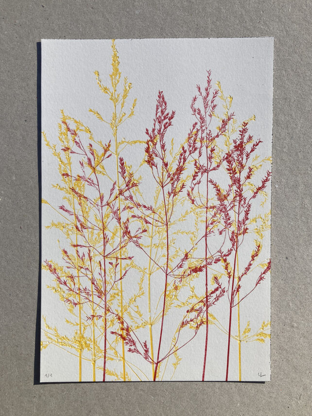 Monotype, empreinte réalisée à partir d'une vraie plante, pièce unique