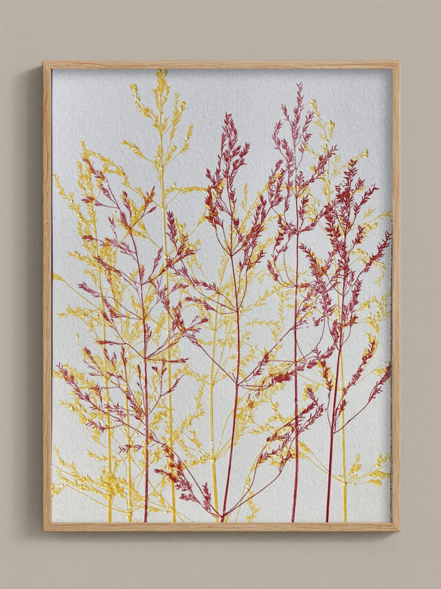 Monotype, empreinte réalisée à partir d'une vraie plante, pièce unique