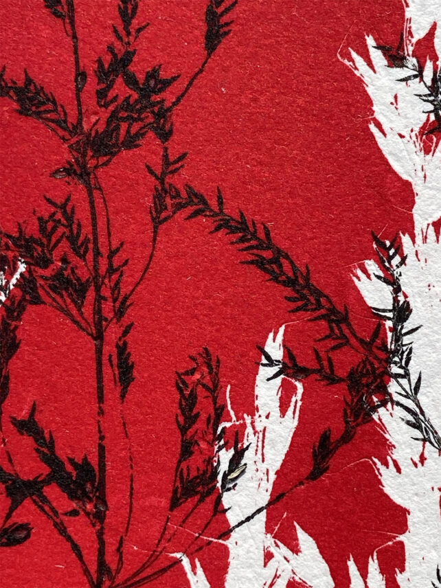 Monotype, empreinte réalisée à partir d'une vraie plante, pièce unique