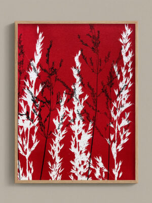 Monotype, empreinte réalisée à partir d'une vraie plante, pièce unique