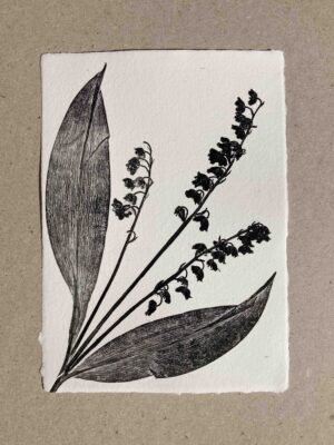 Muguet de mai