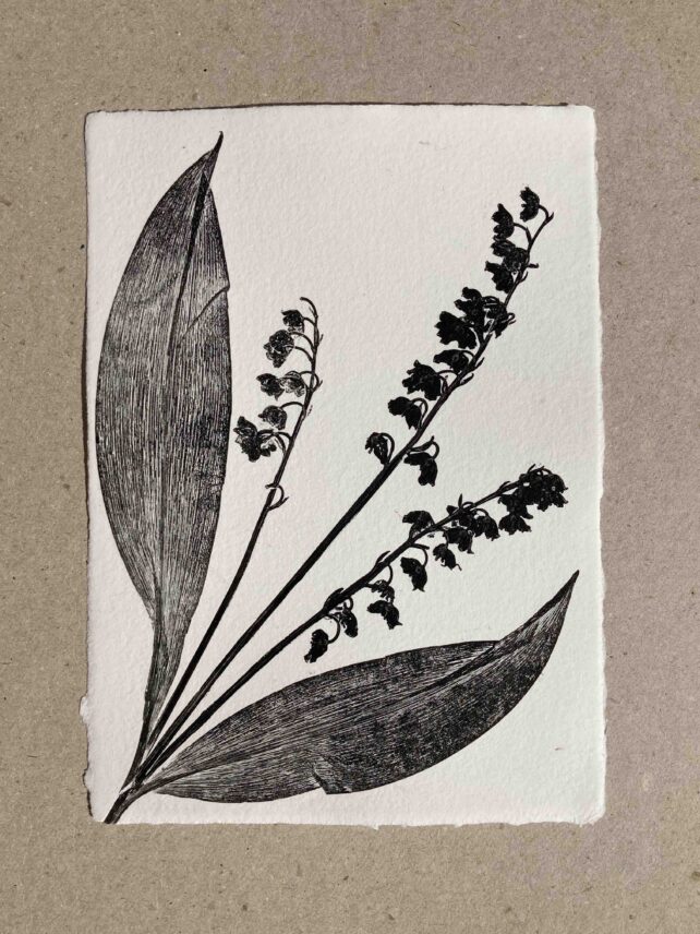 Muguet de mai