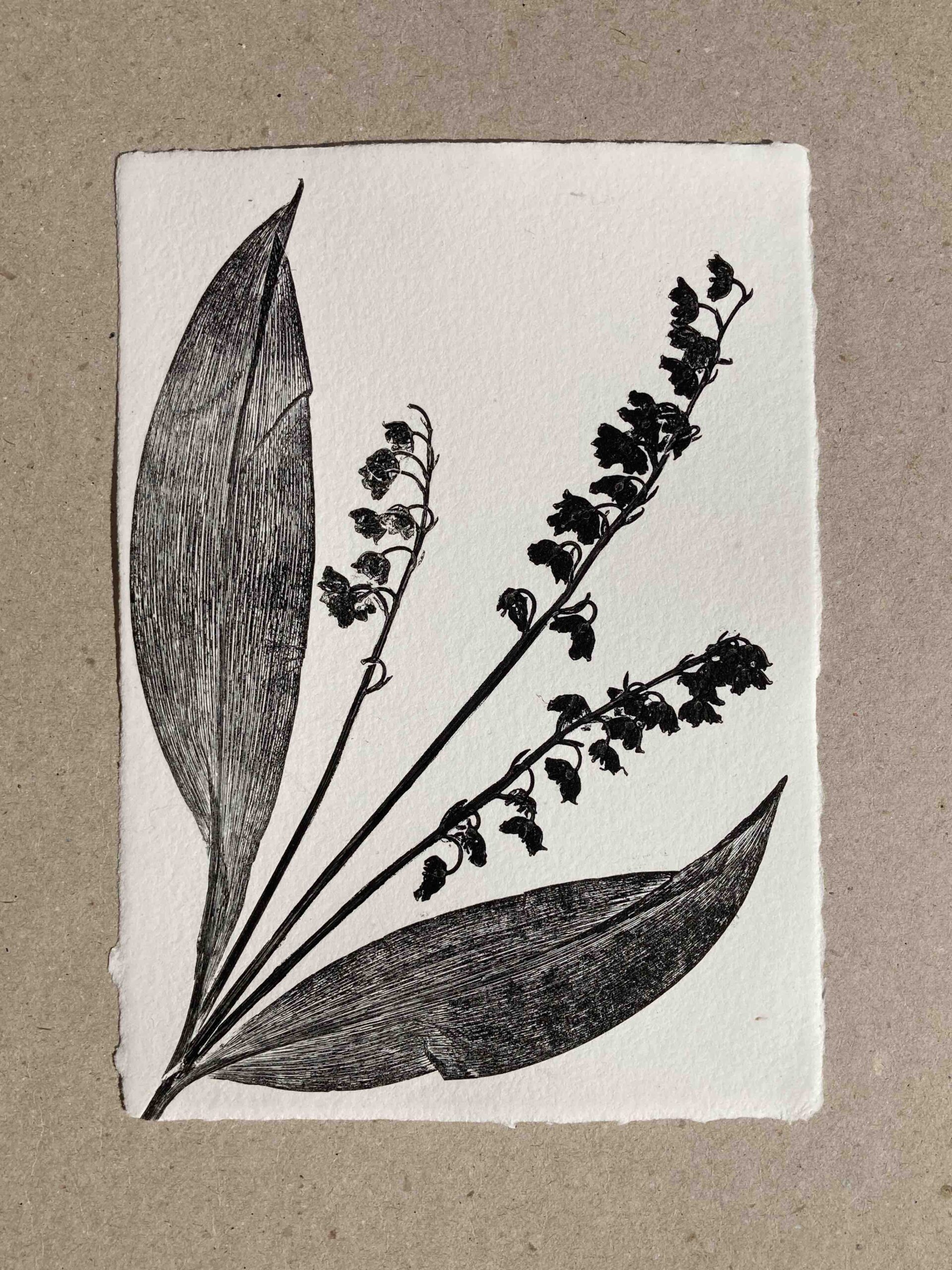 Muguet de mai