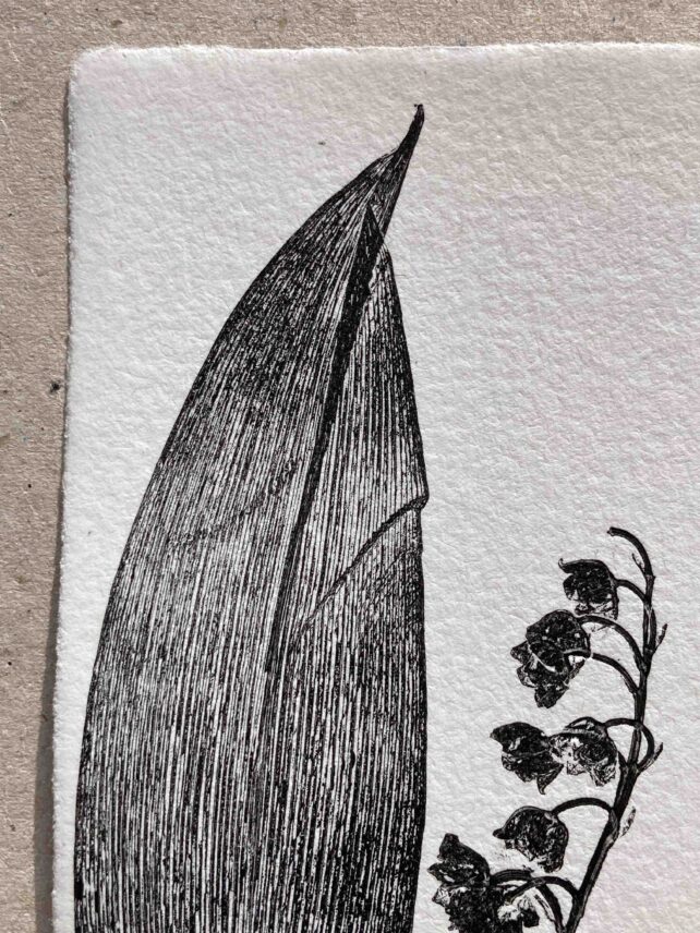 Muguet de mai – Image 2