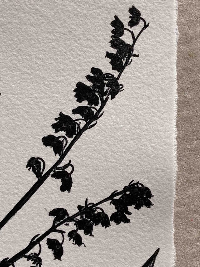 Muguet de mai – Image 3