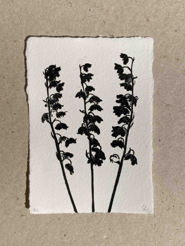 Muguet de mai