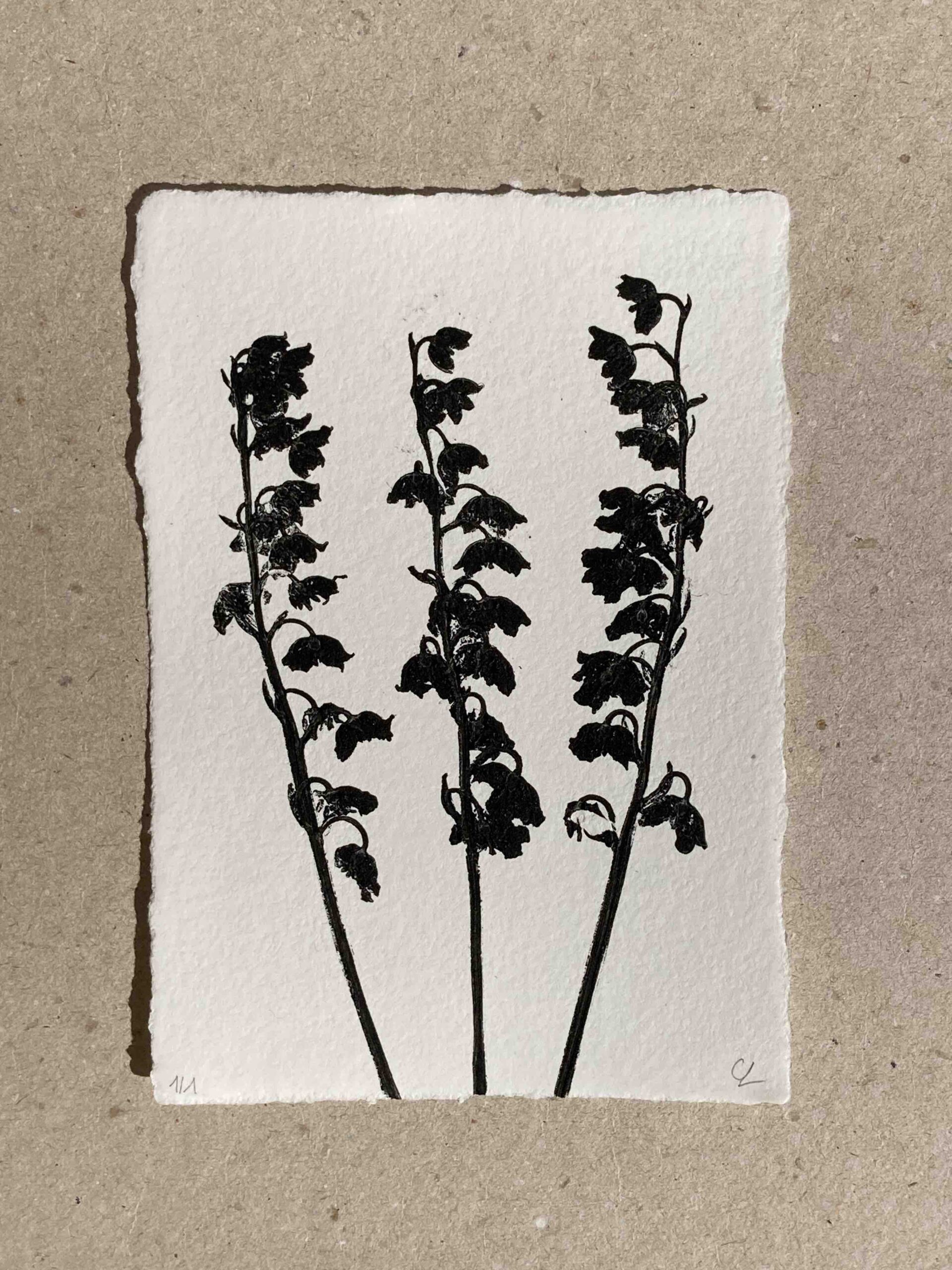 Muguet de mai