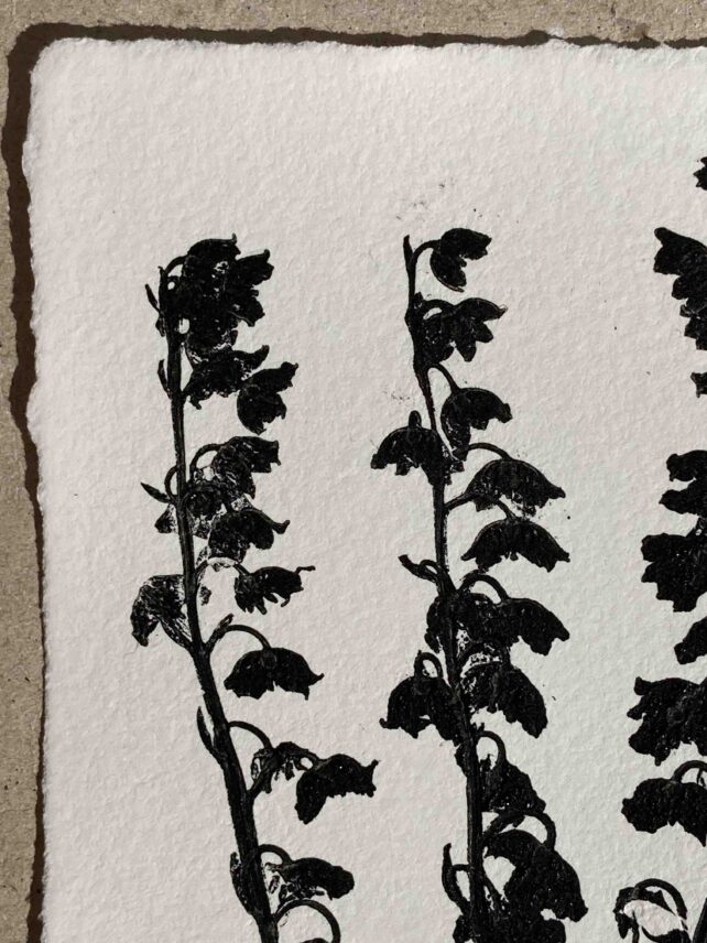 Muguet de mai – Image 2