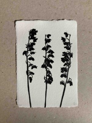 Muguet de mai