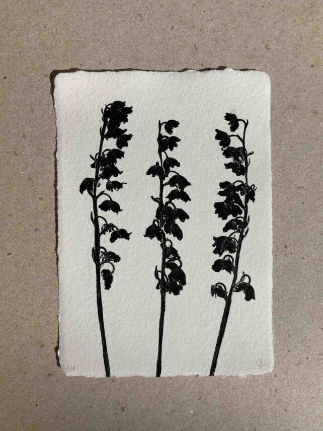 Muguet de mai