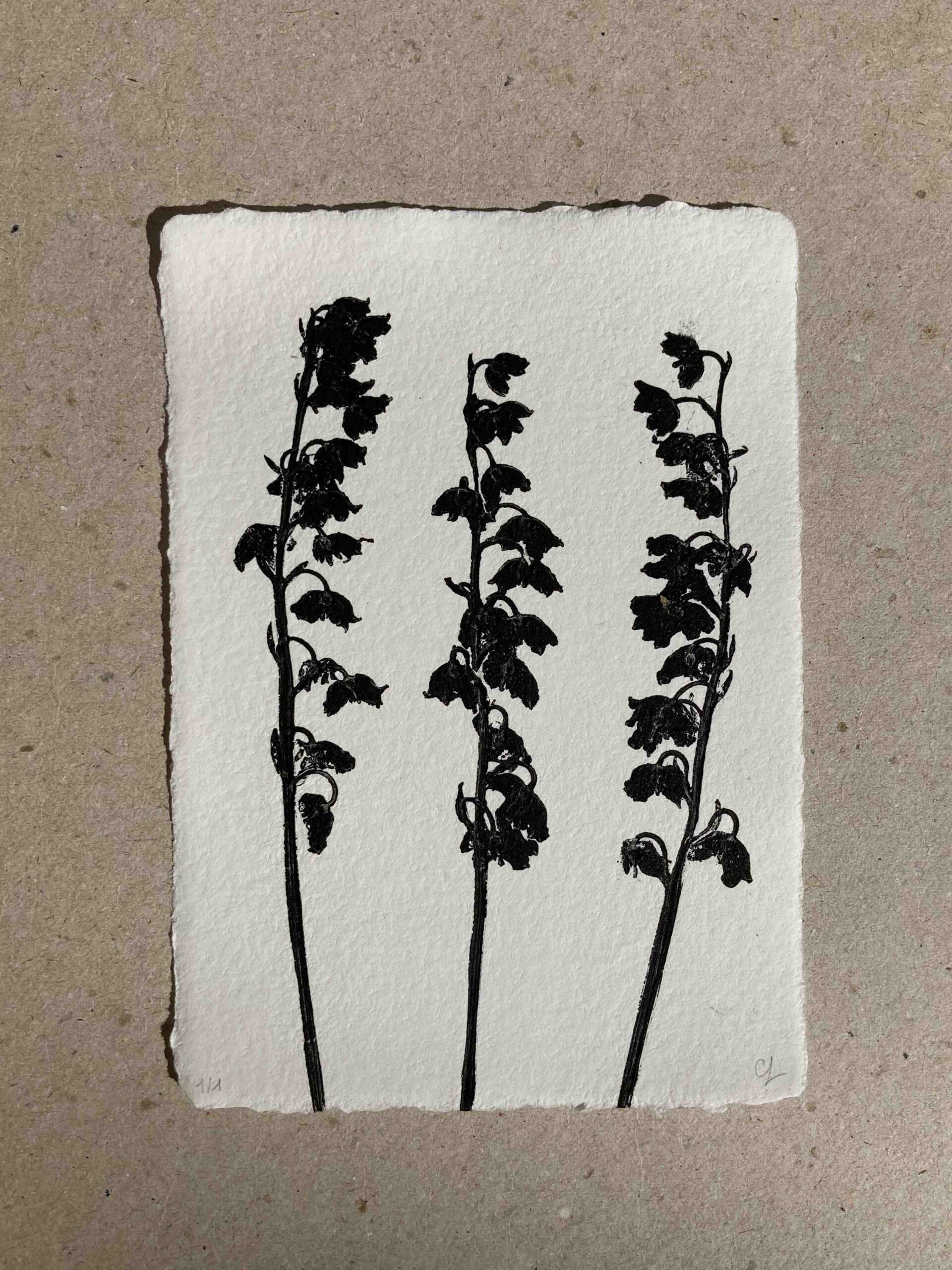 Muguet de mai