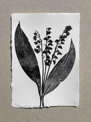 Muguet de mai