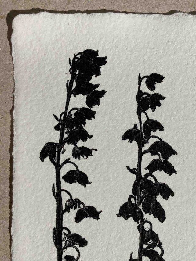Muguet de mai – Image 2