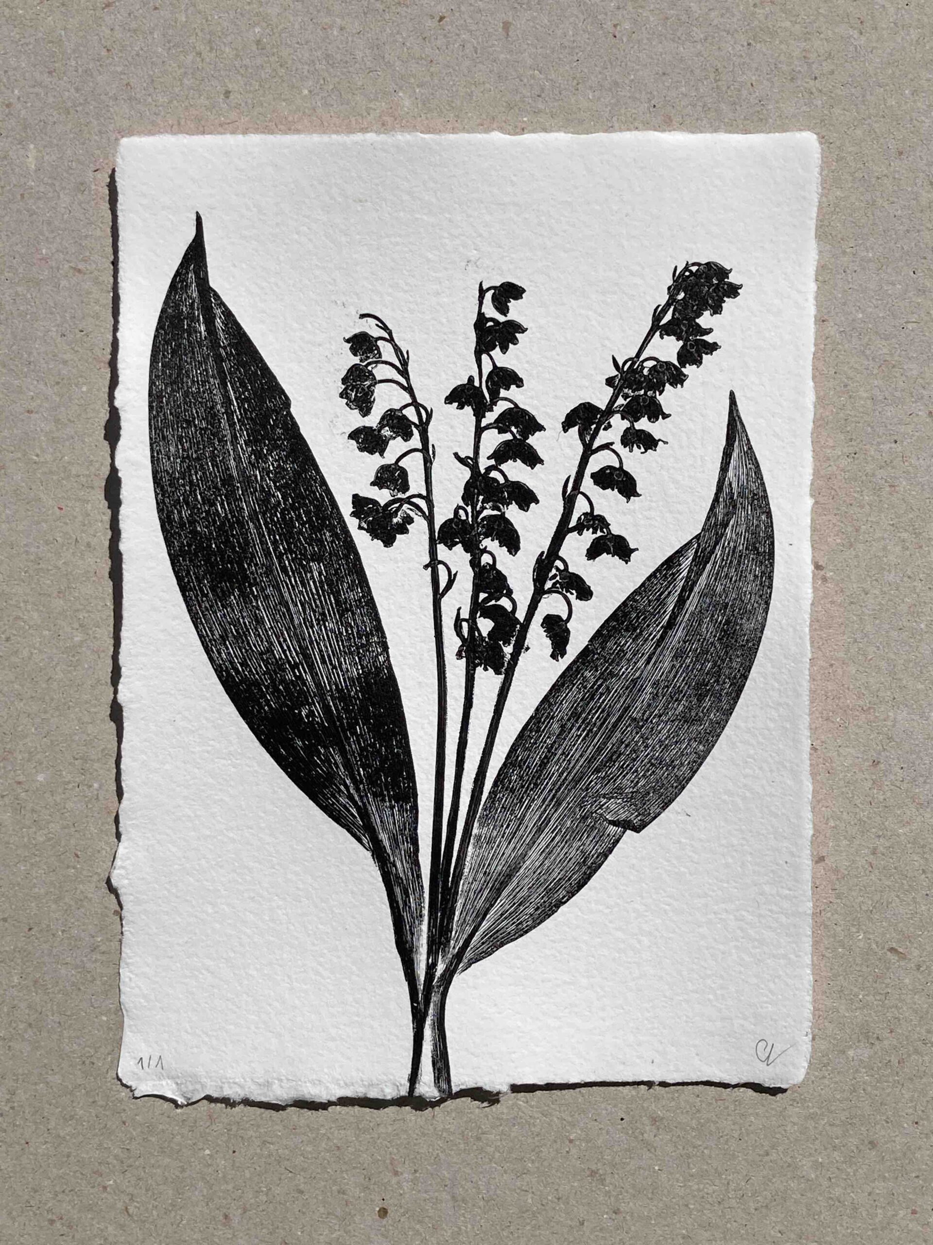 Muguet de mai