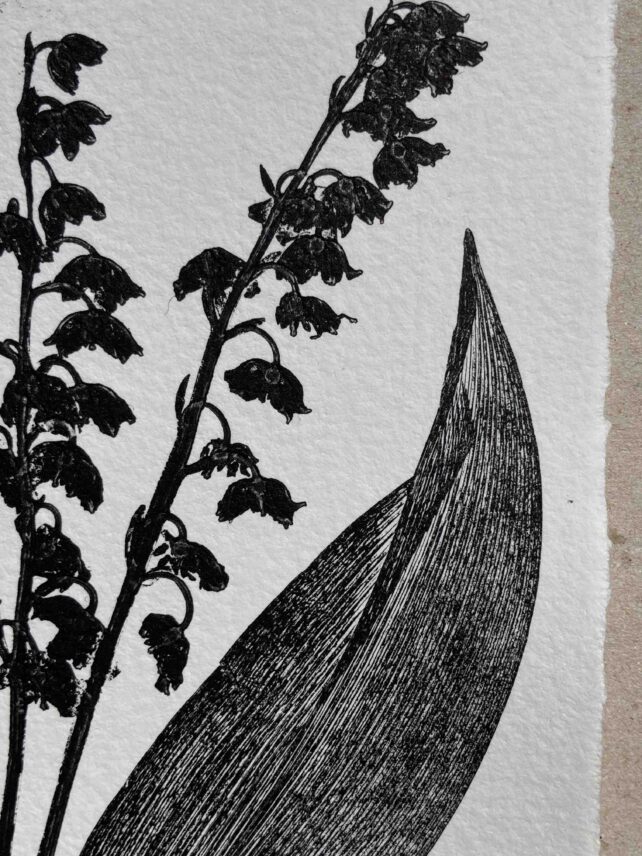 Muguet de mai – Image 3