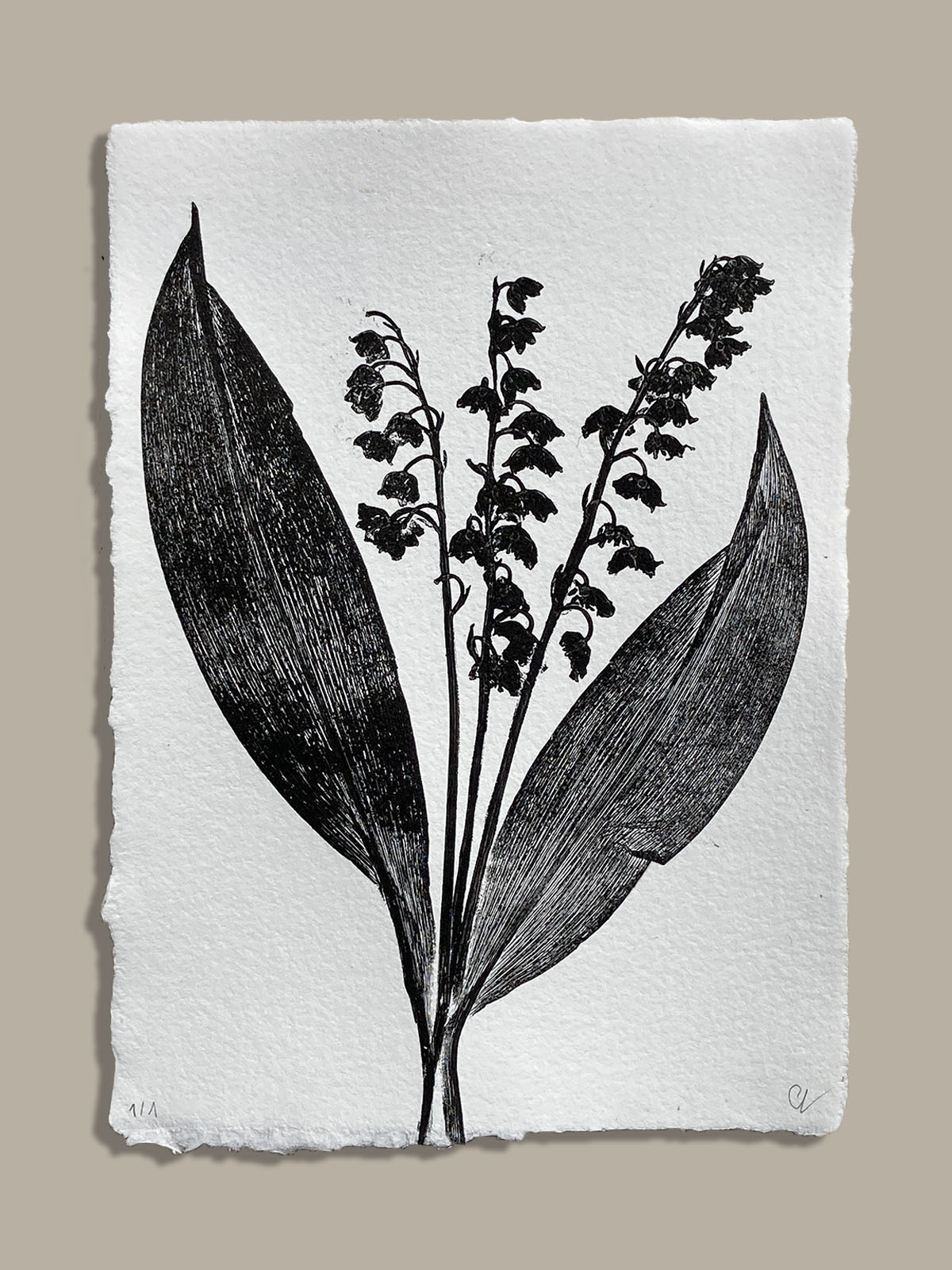 Monotype, empreinte réalisée à partir d'une vraie plante, pièce unique